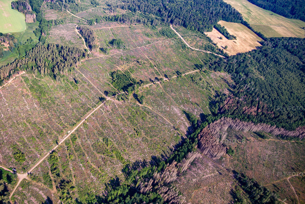 Luftbild: Reste des Borkenkäferwalds und Aufforstungen im Ortsteil Schielo in Harzgerode im Bundesland Sachsen-Anhalt in Deutschland. Foto: IMG_136743.jpg vom 18.06.2023 durch Werner Riehm/FLY-FOTO.de
