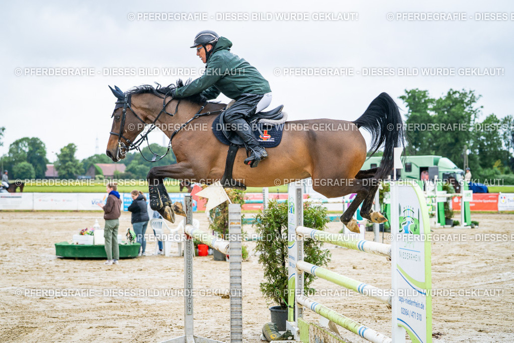 DSC03528 | Pferdegrafie