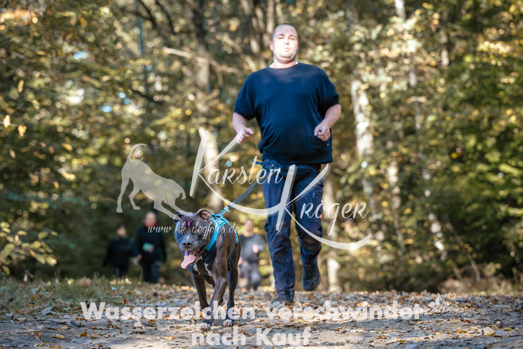 1122_ZZ92169 | kk-dogfotos