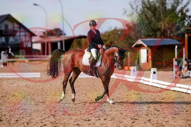 2026_10_03_Siefer-Hof_131846_Z81_66398780 | Professionelle Reitsport-, Turnier- und Eventfotografie von Robert Broda. Galerien mit ausgewählten und bearbeiteten Bildern direkt online ansehen und bestellen.
