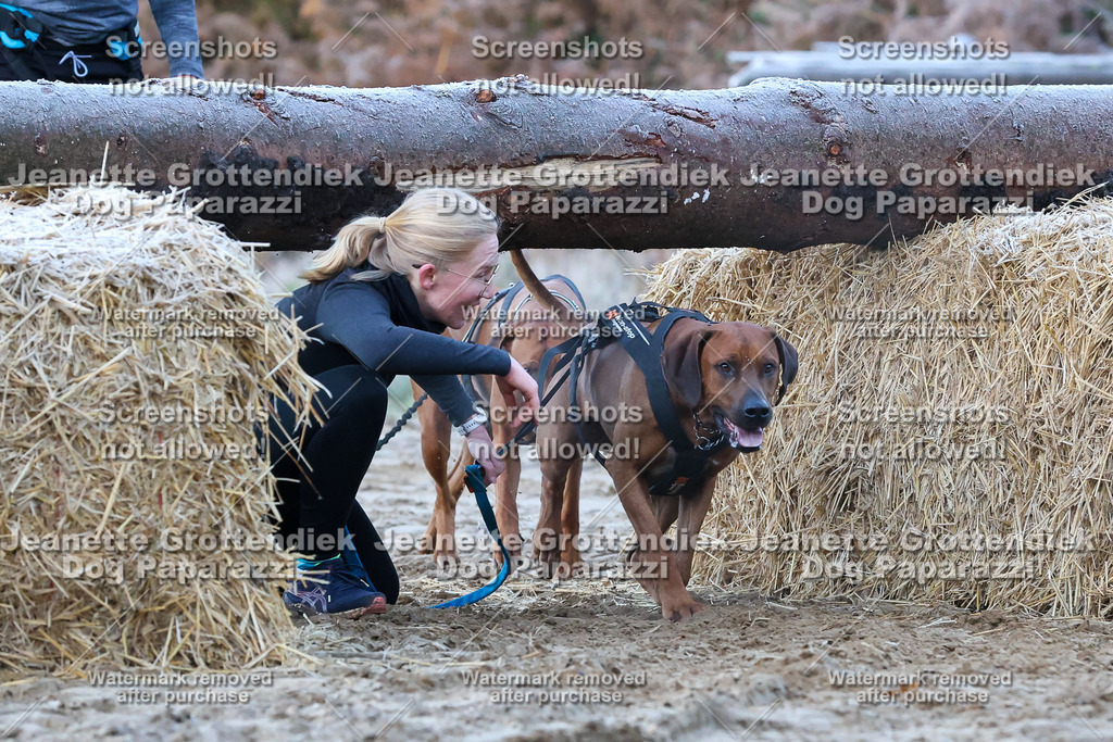 Dog Paparazzi - Strongdog 10-25-162 | Dog Paparazzi Jeanette Grottendiek Fotografie & Videografie - Realisiert mit Pictrs.com