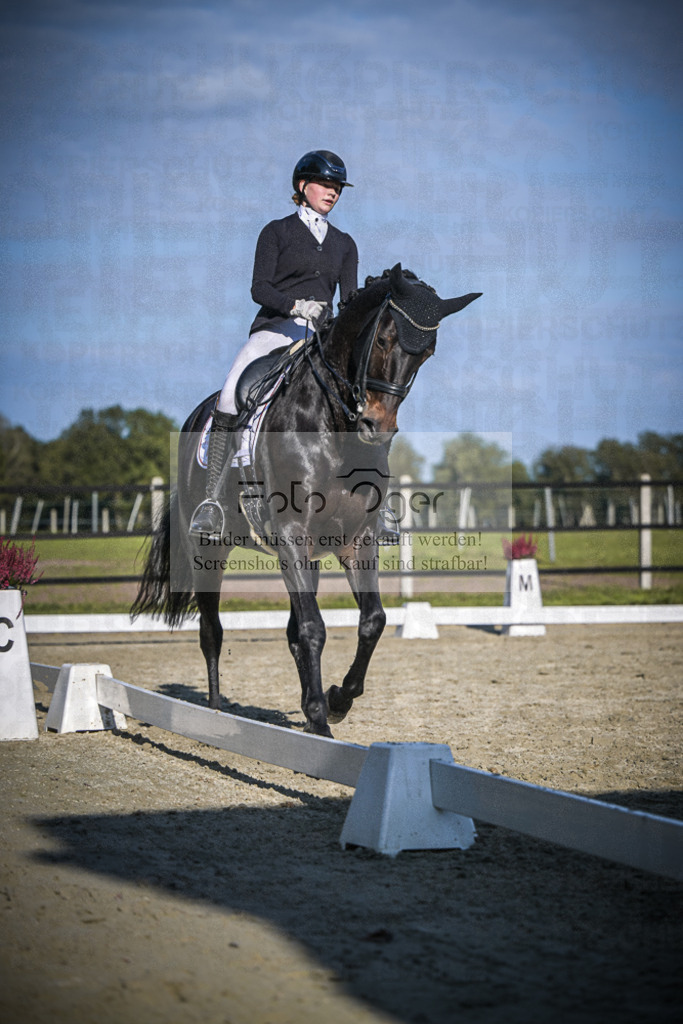 DOS_B866 | Entdecke hochwertige Reitturnierfotos von Foto Oger. Professionell, emotional und authentisch – jetzt Lieblingsmomente im Shop bestellen.Deutschlandweite Turnierfotografie. - Realisiert mit Pictrs.com