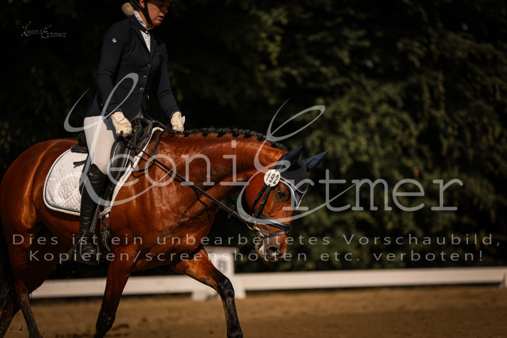 07.FrDrPA00183 | Leoni Ertmer Photography - Realisiert mit Pictrs.com