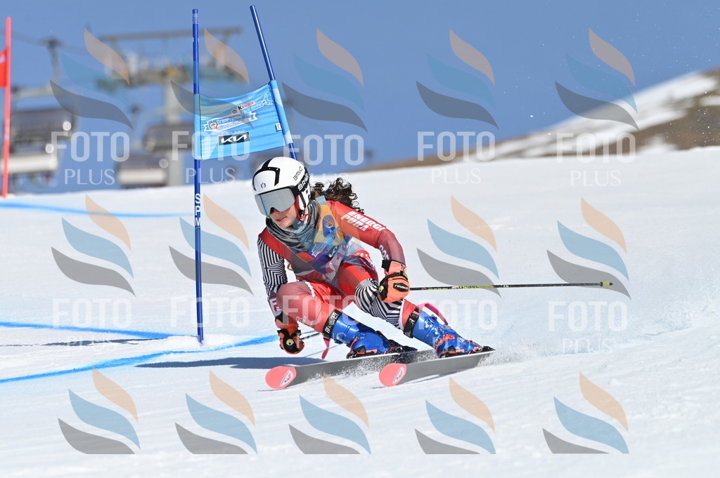 BGV_7874 | holidayphoto