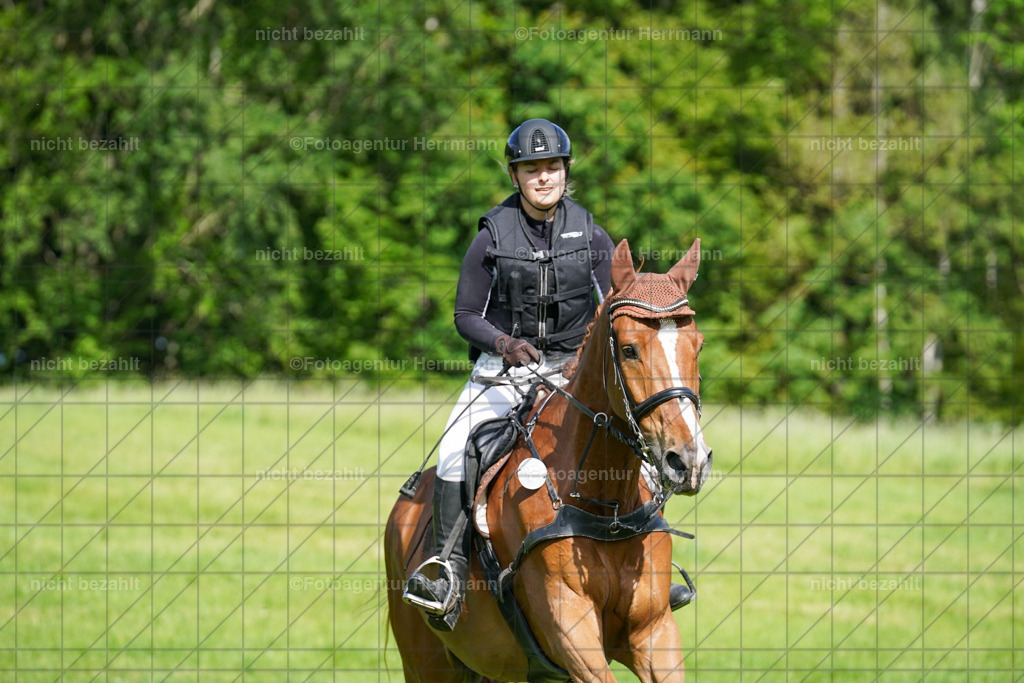20240518-FAH04125 | Turnierbilder von Niederseon, Turnierfotografen Bayern, Fotoagentur Herrmann, Geländebilder, Reitsportfotografie
