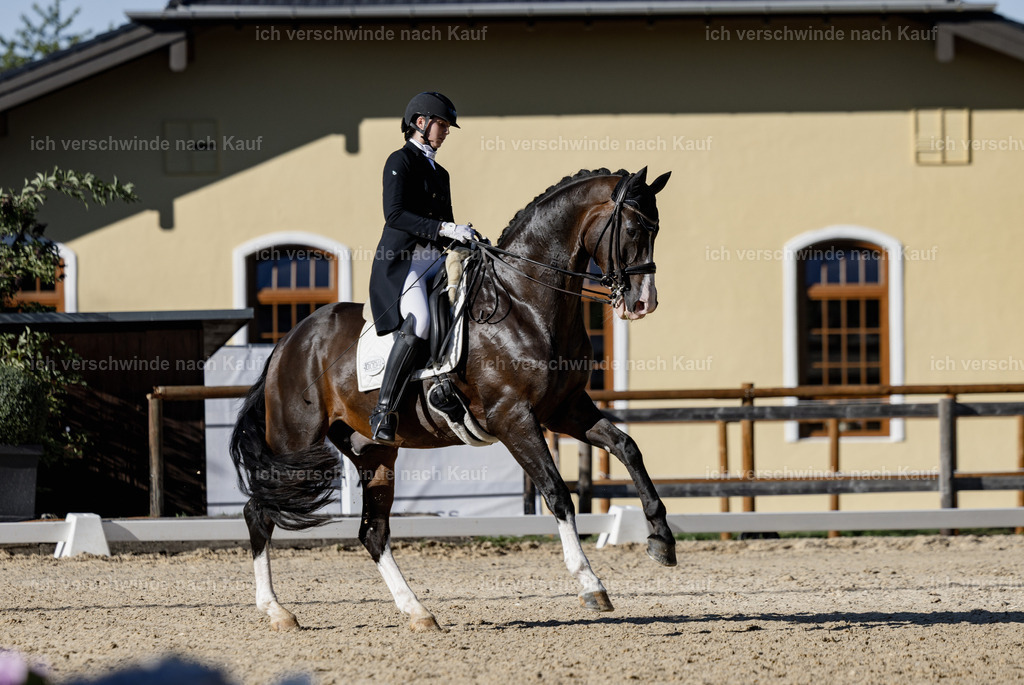 FHC2026_P09_4_18805 | Fichtenhof Classics 2026 – Grand Prix de Dressage - VOLTAIRE Design Preis, Reitanlage Fichtenhof, Sch ftlarn