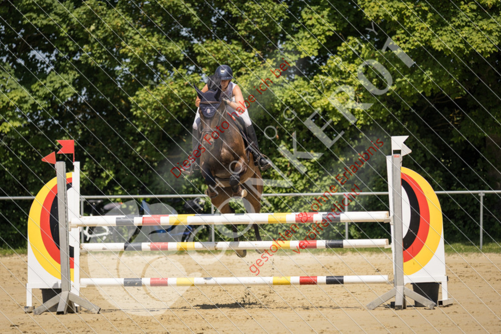 IMG_9437 | Sport-, Event- und Tierfotos in Profiqualität. Einfach auswählen, bestellen und herunterladen. Dein Moment – perfekt festgehalten.