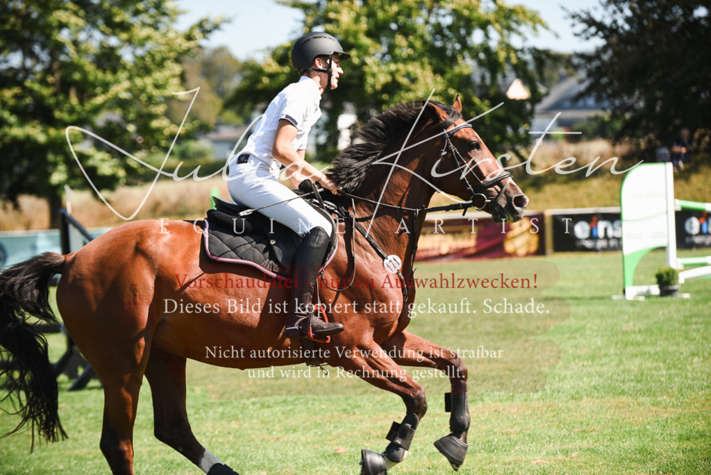 DSC_2815 | Pferde- und Turnierfotografie in Westsachsen. Pferdeportraits, Auftragszeichnungen und intuitive Kunst.