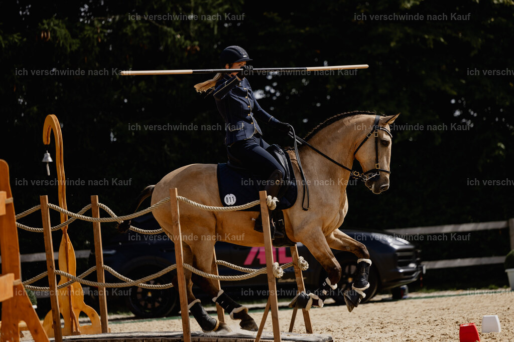 Diana11_FHC2025-20574 | working equitationturnier fotograf videograf stoibphotography marixx film working equitation deutschland reitsport turnierfotografie eventfotografie equestrian events