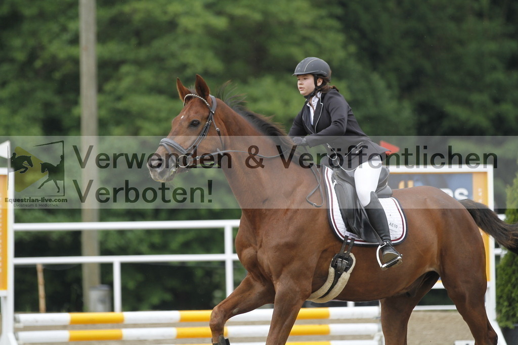 _MG_9551 | equestrian-live-com