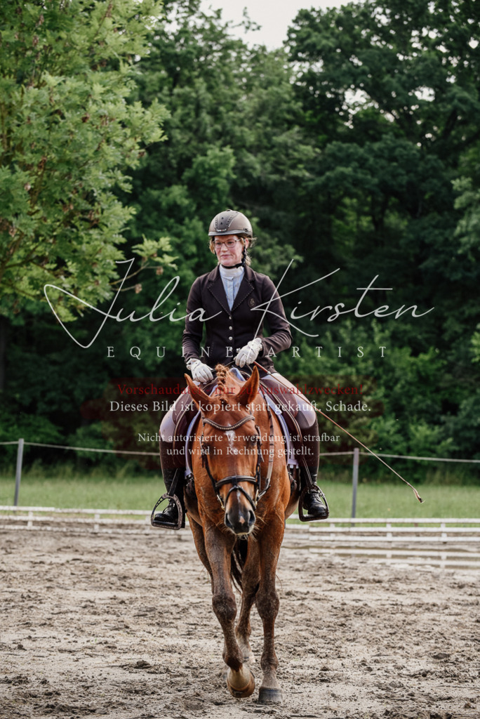 DSC_9730 | Pferde- und Turnierfotografie in Westsachsen. Pferdeportraits, Auftragszeichnungen und intuitive Kunst.