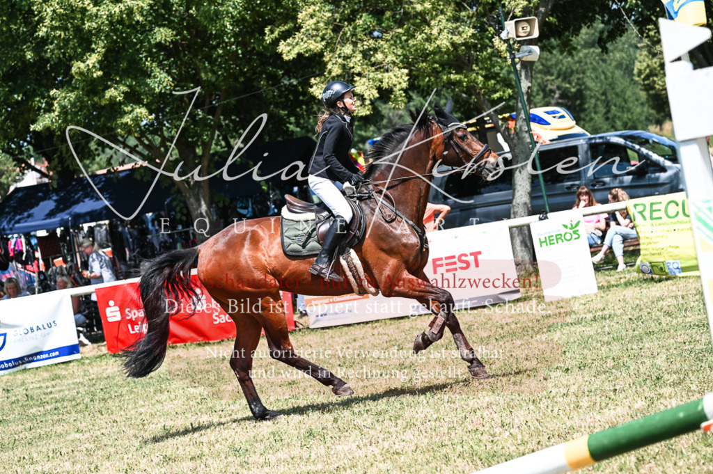 DSC_9866 | Pferde- und Turnierfotografie in Westsachsen. Pferdeportraits, Auftragszeichnungen und intuitive Kunst.