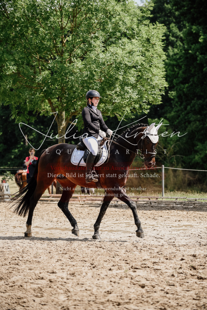 DSC_1045 | Pferde- und Turnierfotografie in Westsachsen. Pferdeportraits, Auftragszeichnungen und intuitive Kunst.