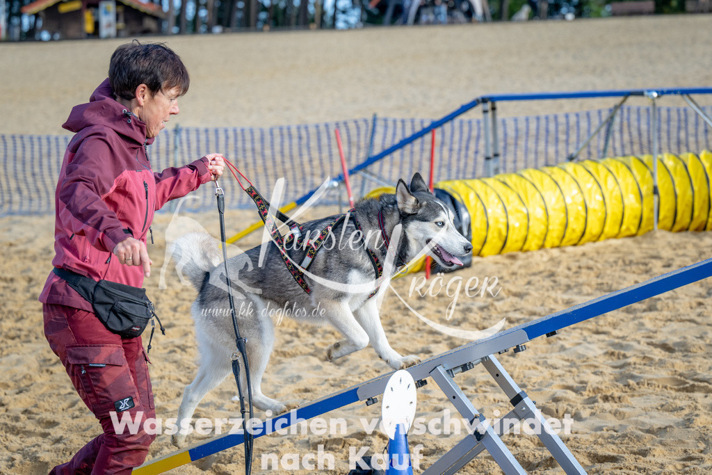 0953_ZZ93033 | kk-dogfotos