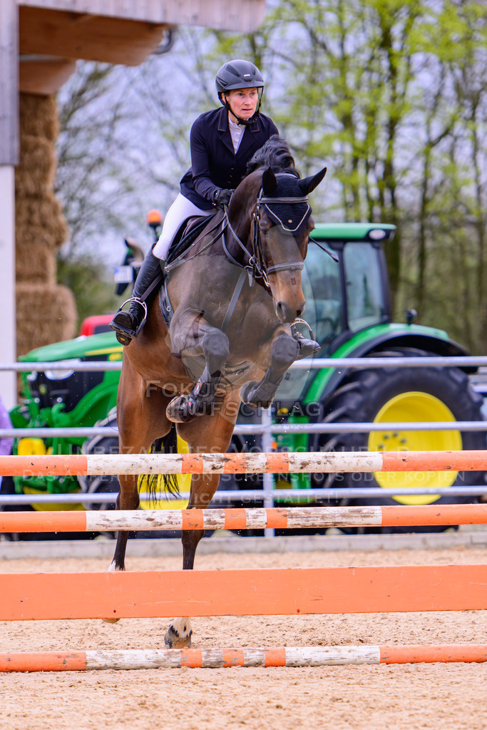 12042026-Mammendorf-Prfg39-0288 | Fokus Hufschlag Fotografie - Realisiert mit Pictrs.com