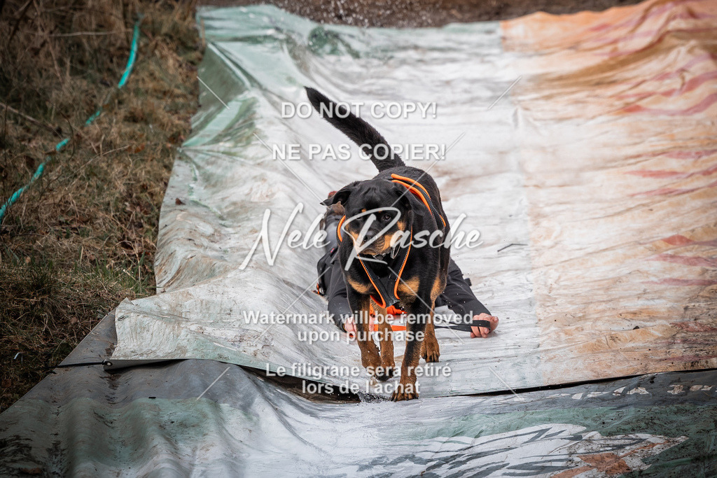 nelerasche_1330-1400_92 | nelerasche