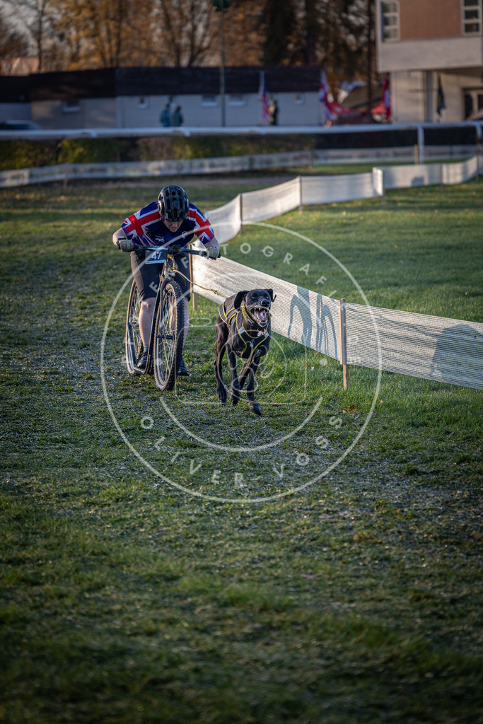 CaniXpix_0L8A2100 | Hundefotografie, Tierfotograf, Pfotenfotografie, Fotoshooting Hund, Hunde Portrait, Hundesport, Hundeportraits, Heideshooting, Hunde, Sportfotograf, Hundefotograf, Turnierhundsport, THS,  - Realisiert mit Pictrs.com