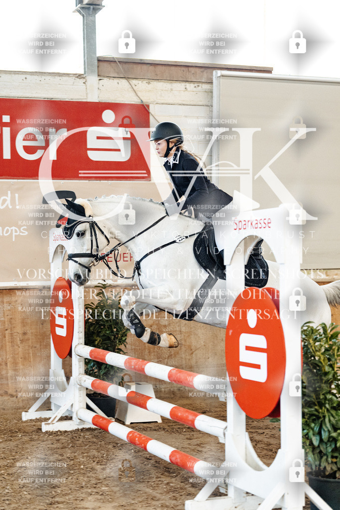 CK904591 | Turnierfotografie Pferdefotografie Trier Rheinland-Pfalz Pferdesport Reitsport Tierfotografie Sportfotografie Pferdevideo Pferdevideografie Equestrianvideography equestrianphotography  - Realisiert mit Pictrs.com