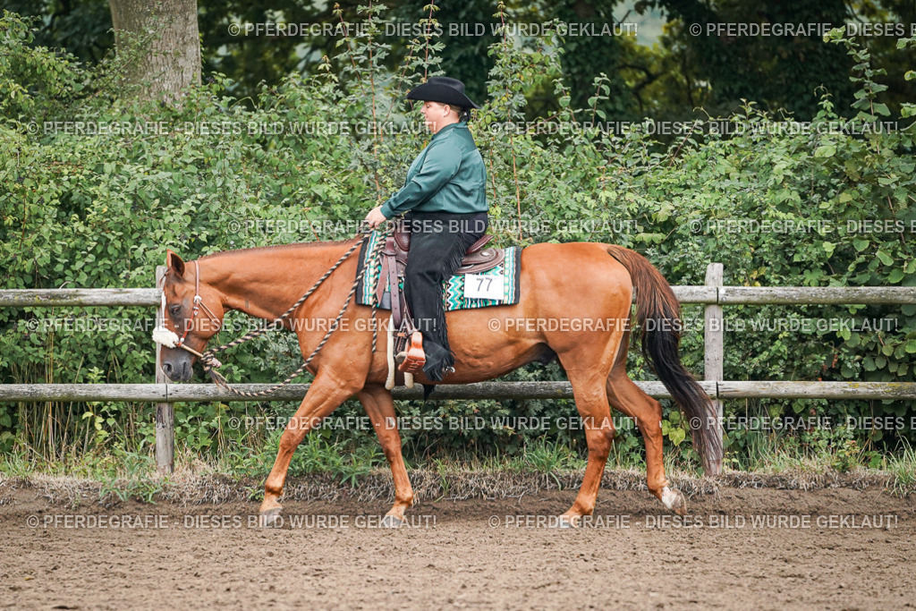 DSC01732 | Pferdegrafie