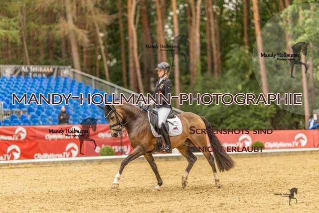 28-8-26 5j DRE-1048 | mandyhollmannphotographie