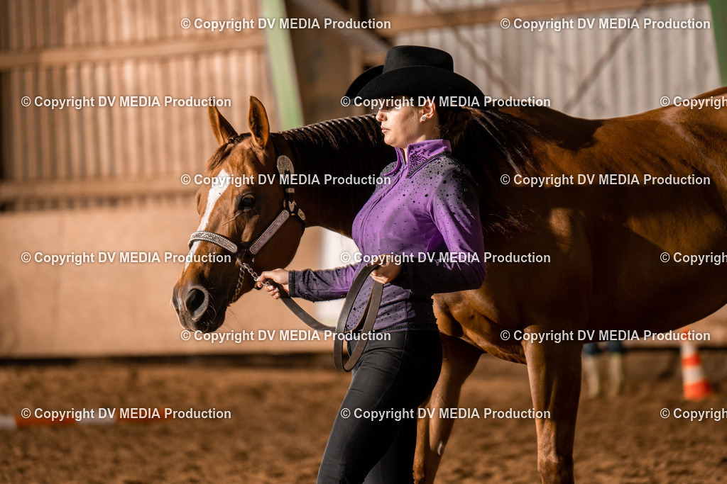 BAL01276 | dv-media-shop - Realisiert mit Pictrs.com