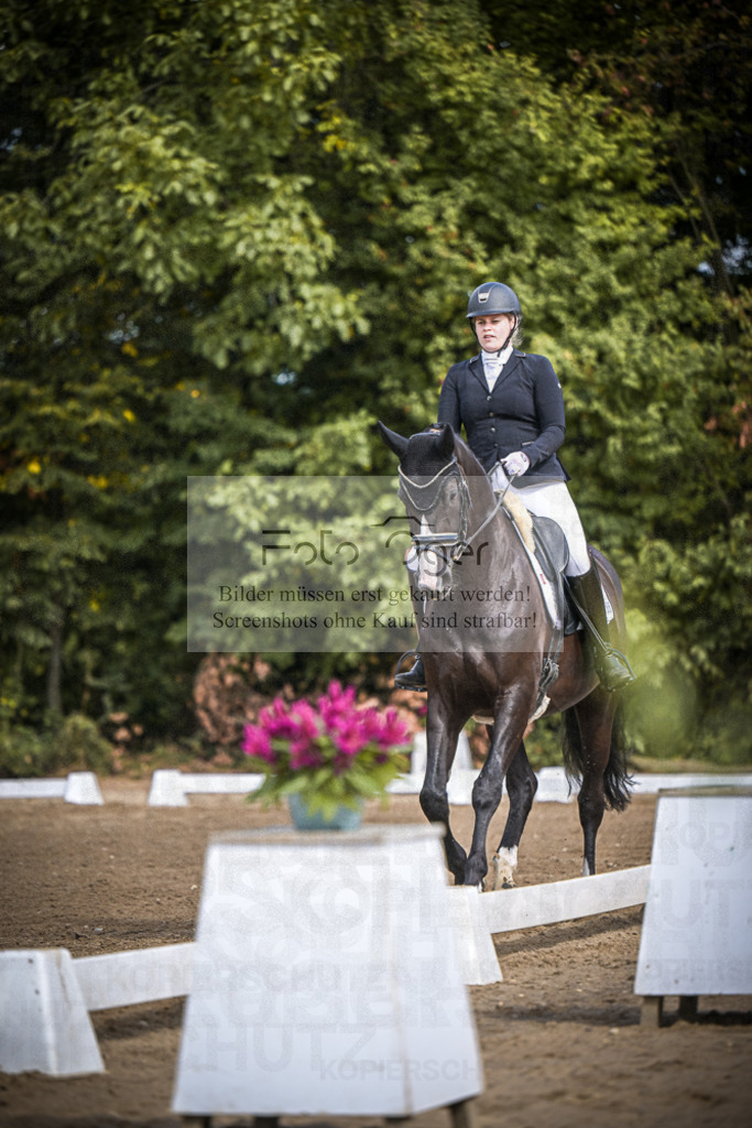 DOS_0246 | Entdecke hochwertige Reitturnierfotos von Foto Oger. Professionell, emotional und authentisch – jetzt Lieblingsmomente im Shop bestellen.Deutschlandweite Turnierfotografie. - Realisiert mit Pictrs.com
