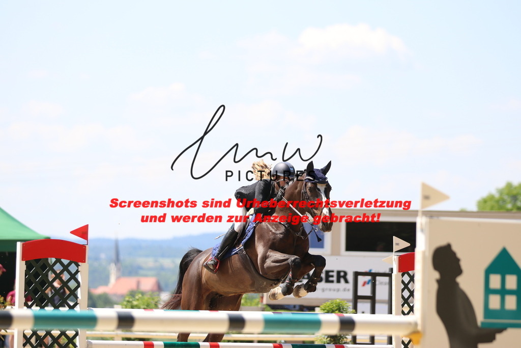 IMG_2537 | lmwpictures - Realisiert mit Pictrs.com