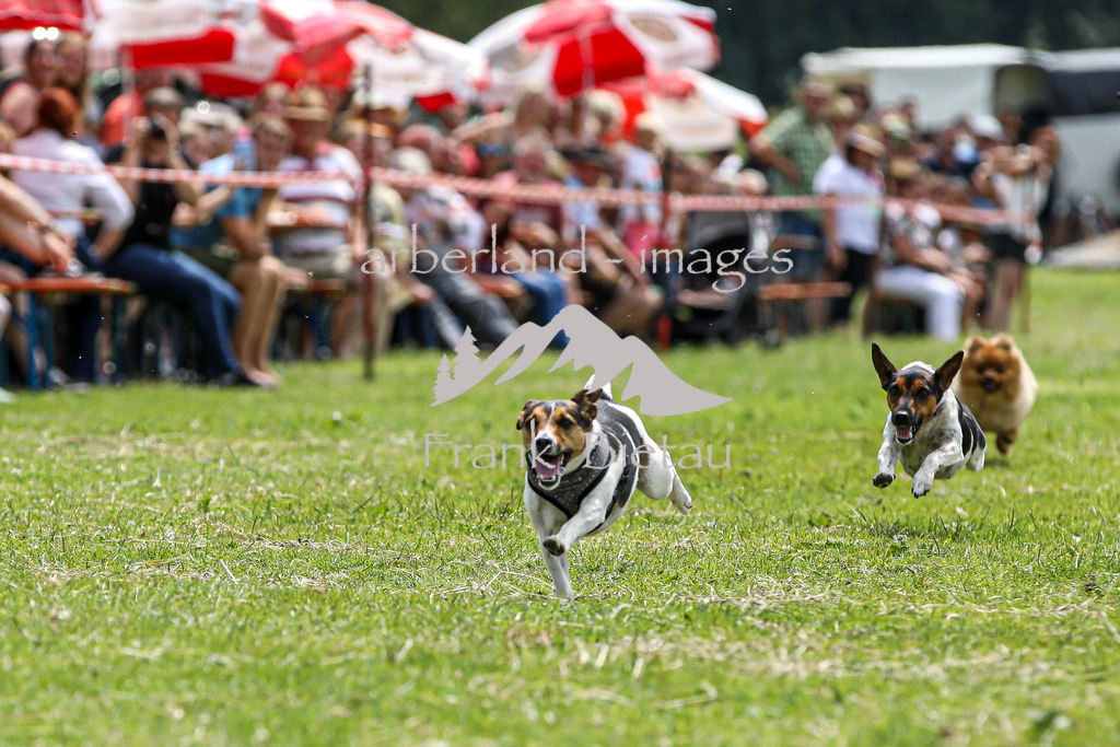 OE7A4412 | Beim Zugpferdetreffen in Poschedtsried galt es verschiedene Wettbewerbe zu meistern, Einzelrennen im Reiten, Traktorpulling und auch ein Hunderennen wurde veranstaltet