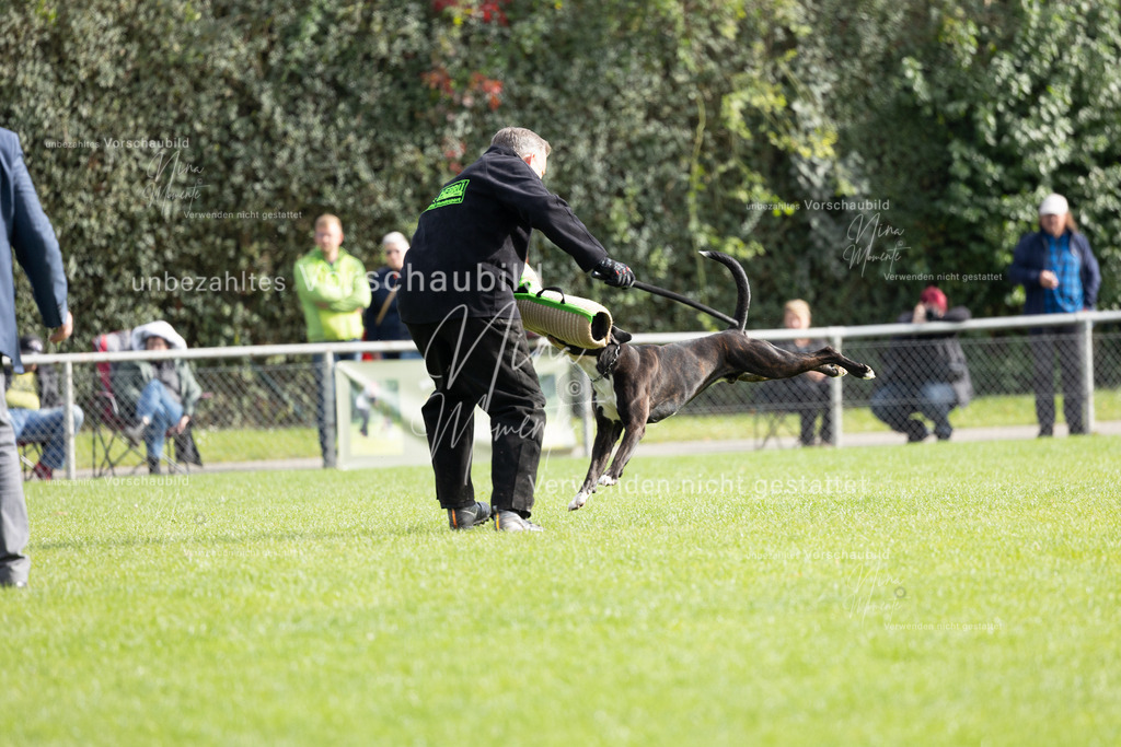 _16A5447 | Einzigartige Fotos von Hunden & Menschen –Actionfotos, Portraits, Vereinsaufnahmen & Paarshootings – authentisch, lebendig & mit Herz.