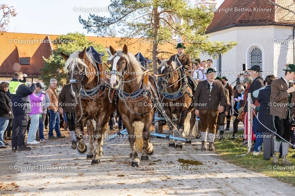 LBT25-1122 | foto-bettina-krinner - Realisiert mit Pictrs.com