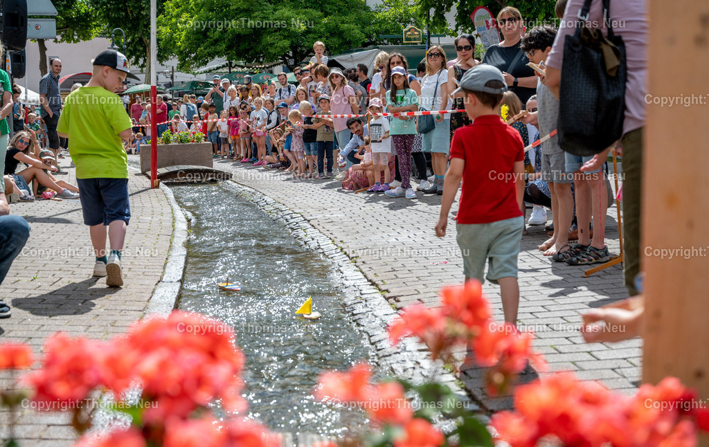 DSC_3264 | bbe, Auerbach, Bachregatta Bachgassenfest, ,, Bild: Thomas Neu
