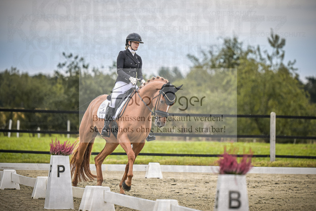 DOS_1266 | Entdecke hochwertige Reitturnierfotos von Foto Oger. Professionell, emotional und authentisch – jetzt Lieblingsmomente im Shop bestellen.Deutschlandweite Turnierfotografie. - Realisiert mit Pictrs.com