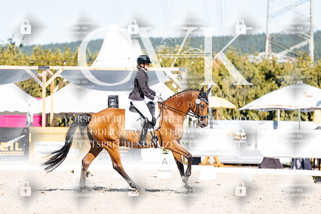 CK908178 | Turnierfotografie Pferdefotografie Trier Rheinland-Pfalz Pferdesport Reitsport Tierfotografie Sportfotografie Pferdevideo Pferdevideografie Equestrianvideography equestrianphotography  - Realisiert mit Pictrs.com
