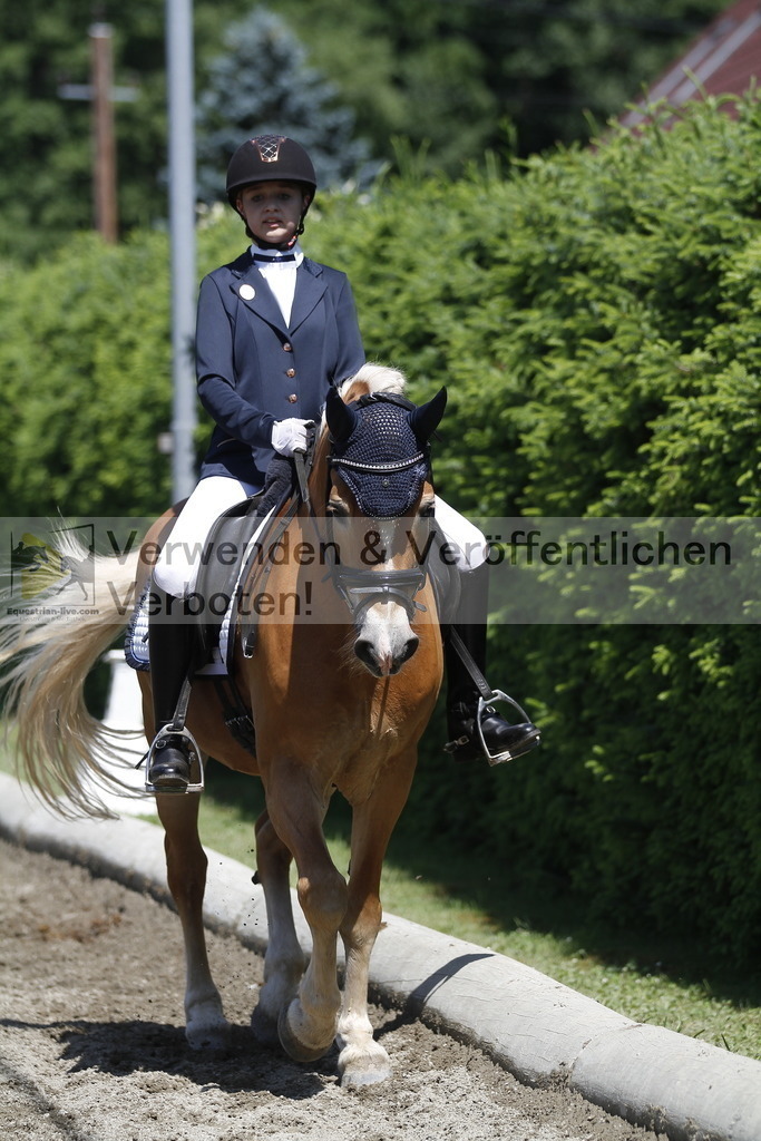 _MG_3860 | equestrian-live-com