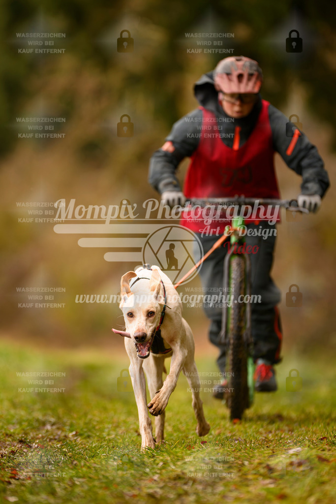 MompixPhotography_2SSTSSBW_2025_SO_Scooter-80 | PayLife