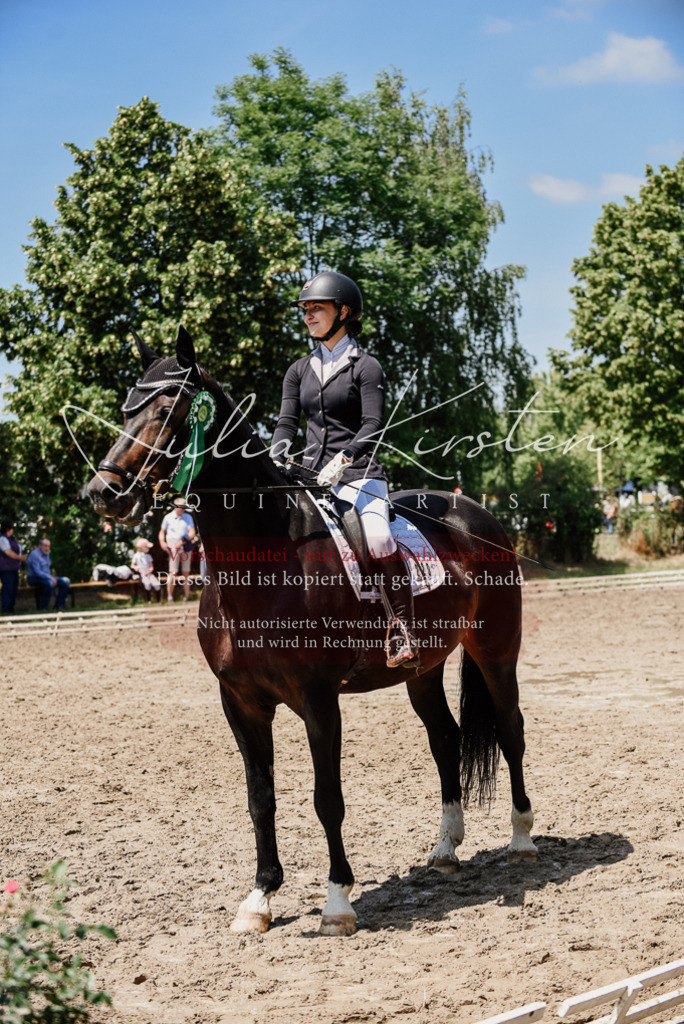 DSC_2059 | Pferde- und Turnierfotografie in Westsachsen. Pferdeportraits, Auftragszeichnungen und intuitive Kunst.