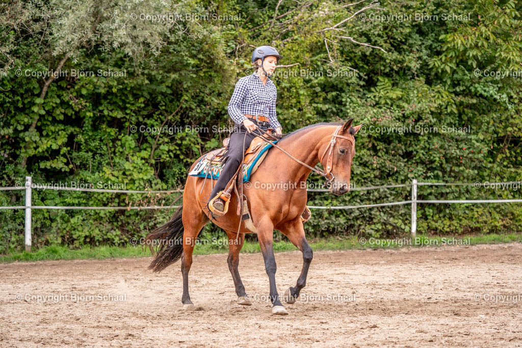 SAL03587 | BS-foto