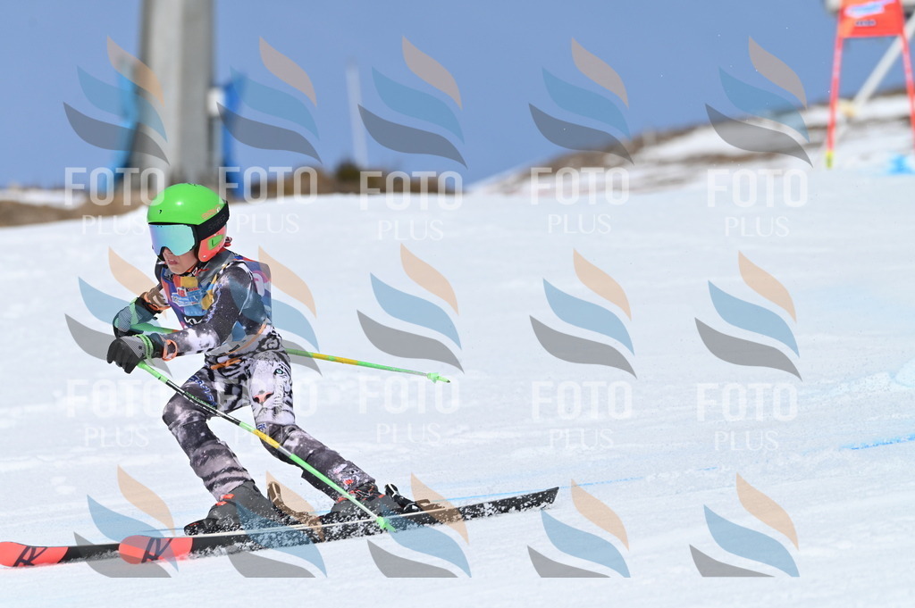 BGV_0889 | holidayphoto