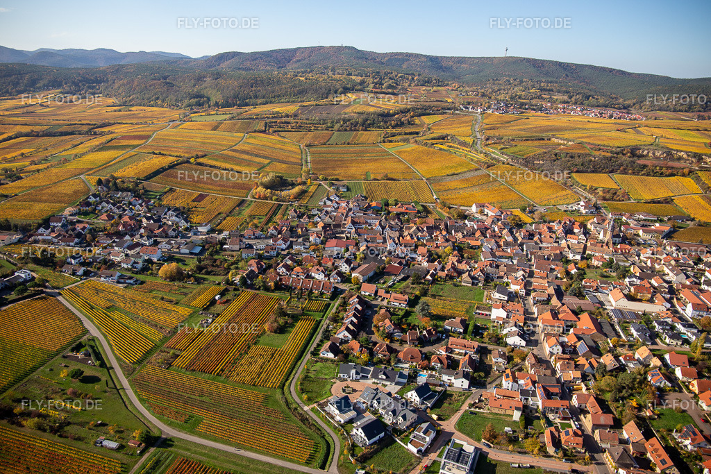 Herbstliche verfärbte Vegetationsansicht der Weinberge um das Winzerdorf in Kallstadt | Luftbild: Herbstliche verfärbte Vegetationsansicht der Weinberge um das Winzerdorf in Kallstadt im Ortsteil Ungstein in Bad Dürkheim im Bundesland Rheinland-Pfalz in Deutschland. Foto: IMG_123685.jpg vom 31.10.2020 durch ©2025 Werner Riehm fly-foto.de/copyright - Realisiert mit Pictrs.com