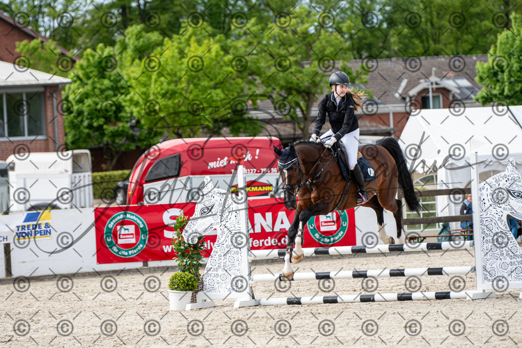 KPT_6588 | andre_photographic