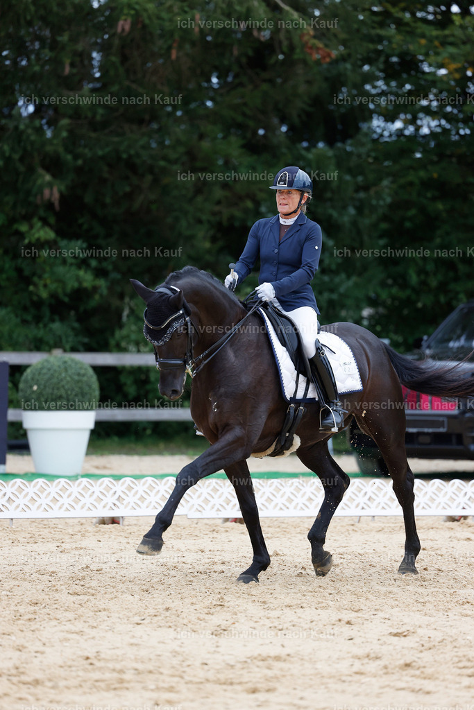 04_2-219-Dressur M__ -StoibPH-2953 | working equitationturnier fotograf videograf stoibphotography marixx film working equitation deutschland reitsport turnierfotografie eventfotografie equestrian events