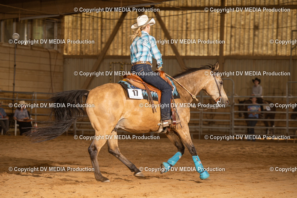 NID03785 | dv-media-shop - Realisiert mit Pictrs.com