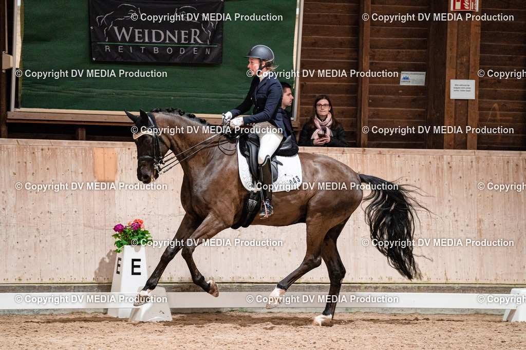 Dressur Tag 3-631 | dv-media-shop - Realisiert mit Pictrs.com