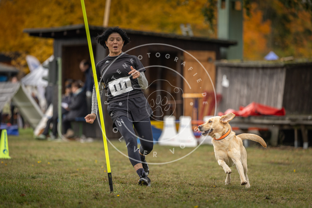 Pfotenfotografie_DV3A6792 | Hundefotografie, Tierfotograf, Pfotenfotografie, Fotoshooting Hund, Hunde Portrait, Hundesport, Hundeportraits, Heideshooting, Hunde, Sportfotograf, Hundefotograf, Turnierhundsport, THS,  - Realisiert mit Pictrs.com