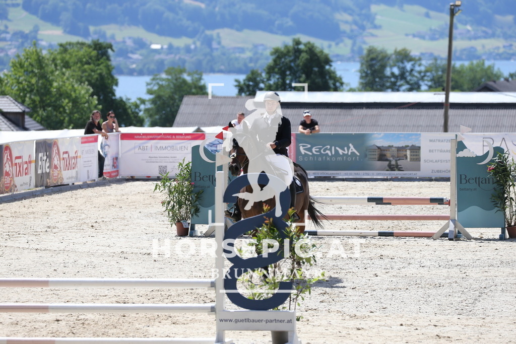 PP017198 | Willkommen bei Brunnmayr - Design & Fotografie – Ihrem Spezialisten für Reitturniere und Pferdeveranstaltungen in Oberösterreich, Salzburg und Bayern! Seit über 17 Jahren sind wir leidenschaftlich dabei.