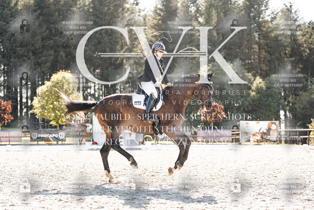 CK906166 | Turnierfotografie Pferdefotografie Trier Rheinland-Pfalz Pferdesport Reitsport Tierfotografie Sportfotografie Pferdevideo Pferdevideografie Equestrianvideography equestrianphotography  - Realisiert mit Pictrs.com