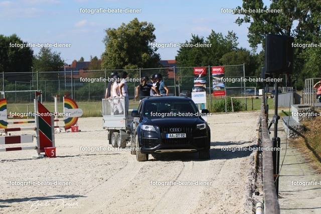 OHT 2022 Röhlingen (40) | Fotografie, Tiere, Hunde, Katzen, Pferde, Sportfotografie, Fotosession, Tierfotografie, Turnierfotografie, Fotografin, Fotograf - Realisiert mit Pictrs.com