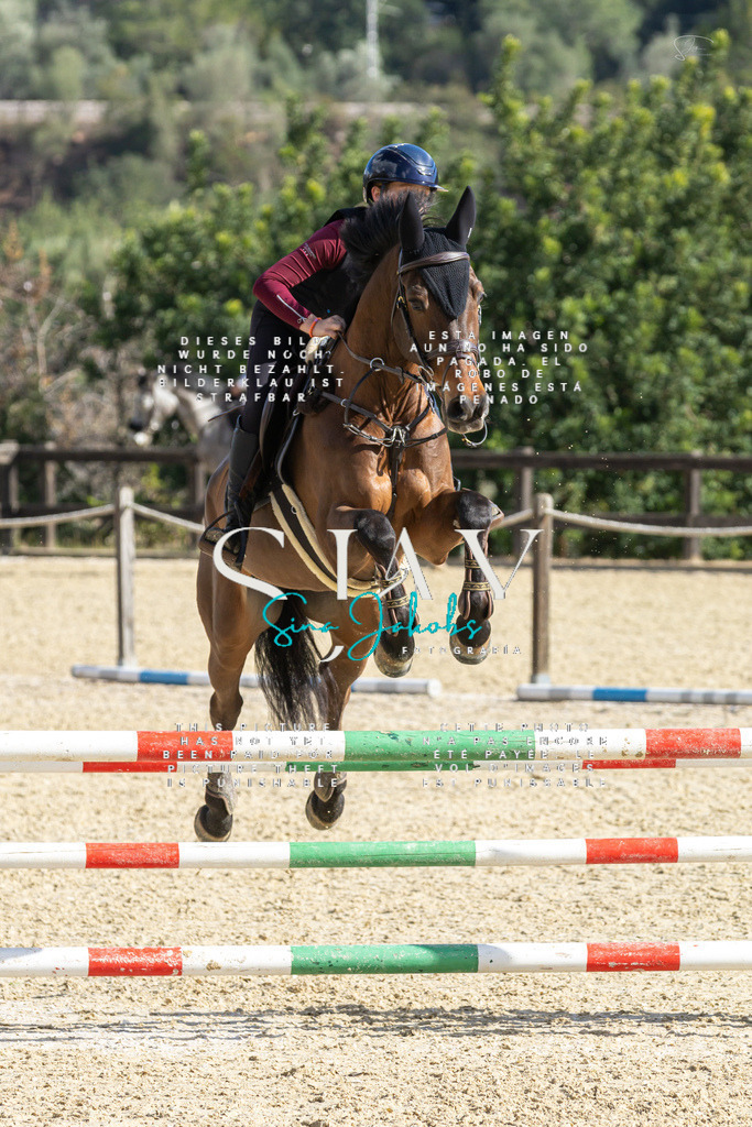 IMG_4072 | s-jay-photography - Realisiert mit Pictrs.com