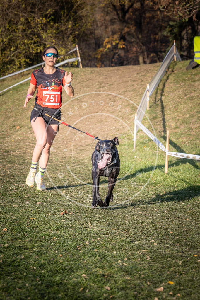 CaniXpix_0L8A9856 | Hundefotografie, Tierfotograf, Pfotenfotografie, Fotoshooting Hund, Hunde Portrait, Hundesport, Hundeportraits, Heideshooting, Hunde, Sportfotograf, Hundefotograf, Turnierhundsport, THS,  - Realisiert mit Pictrs.com