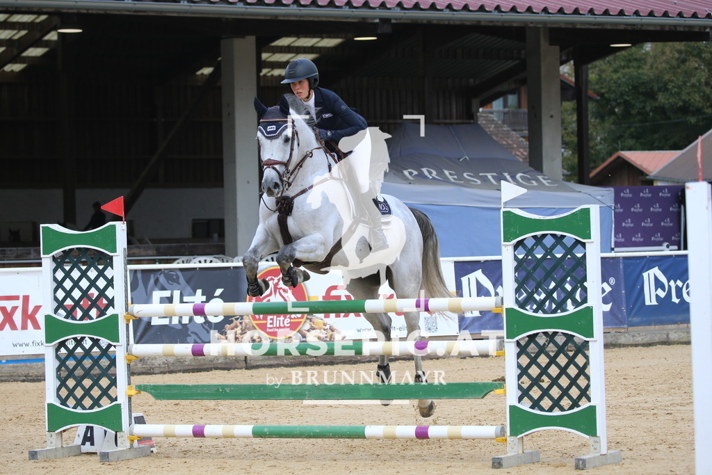 DL2Q0201 | Willkommen bei Brunnmayr - Design & Fotografie – Ihrem Spezialisten für Reitturniere und Pferdeveranstaltungen in Oberösterreich, Salzburg und Bayern! Seit über 17 Jahren sind wir leidenschaftlich dabei.